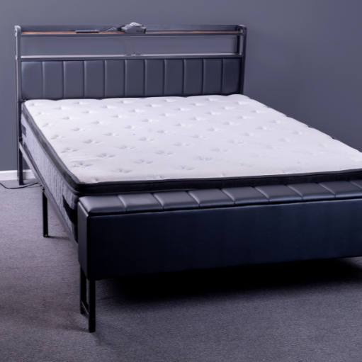 Dalton Upholstered Platform Bedframe Queen