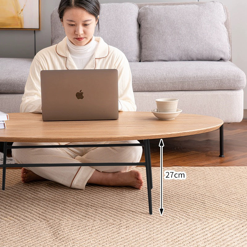 Elegant Oval Coffee Table