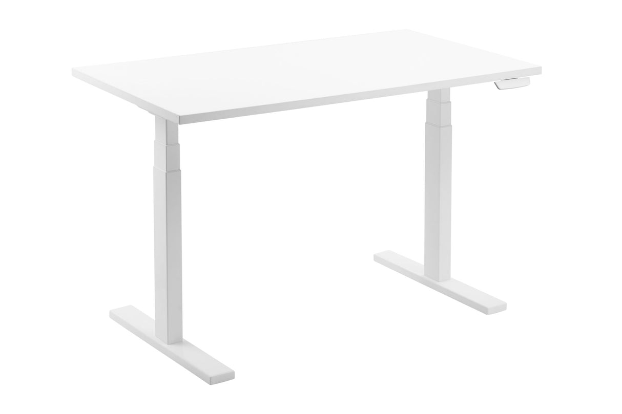 Ergomax Dual-Motor Electric Sit Stand Desk