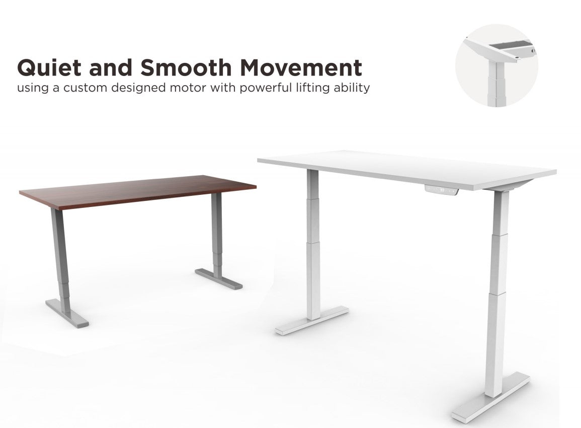 Ergomax Dual-Motor Electric Sit Stand Desk