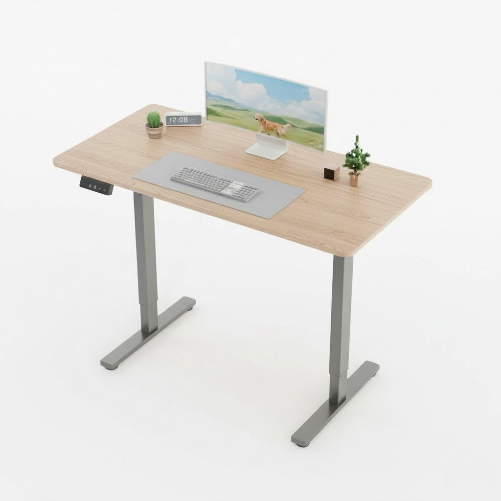 Electra Ergo Single Motor Sit Stand Desk Walnut with Black Legs 1.2m