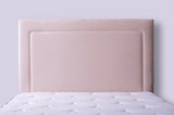 Jessamine Headboard Beige Velvet Single