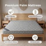 Sutton Coconut Fibre Mattress Queen