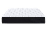 Dryden Pocket Spring mattress with Memory foam Queen Size